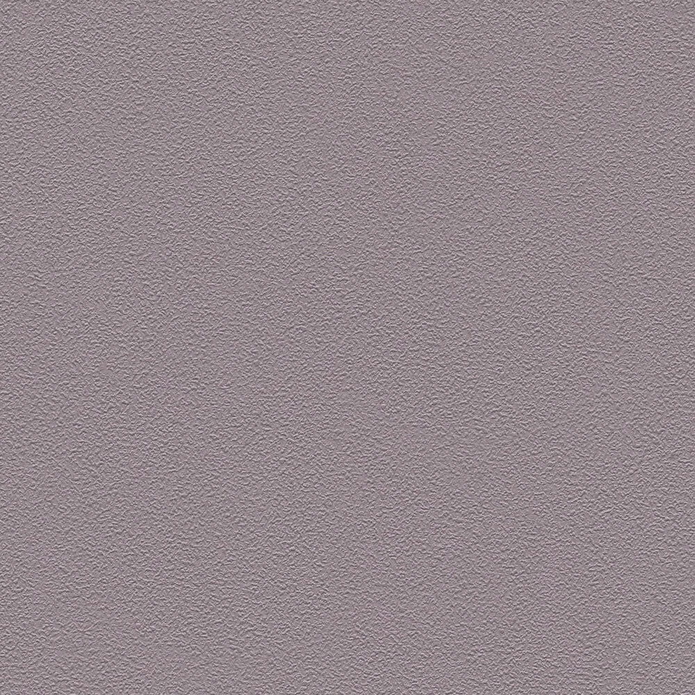 A.S. Création Behang Elite of Shades