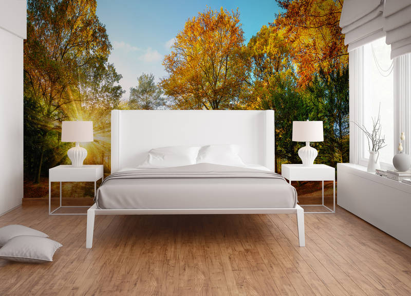 livingwalls Fototapete XXLwallpaper 3