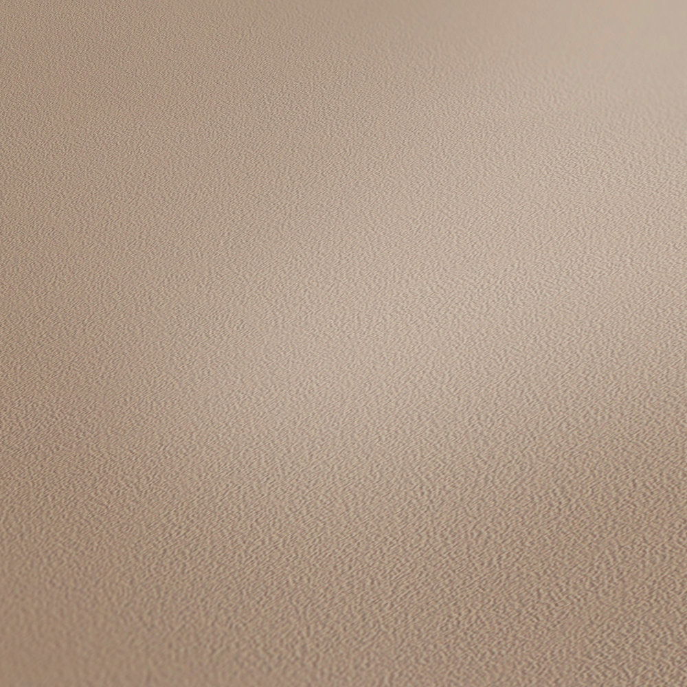 Architects Paper Wallpaper AP Longlife Colours
