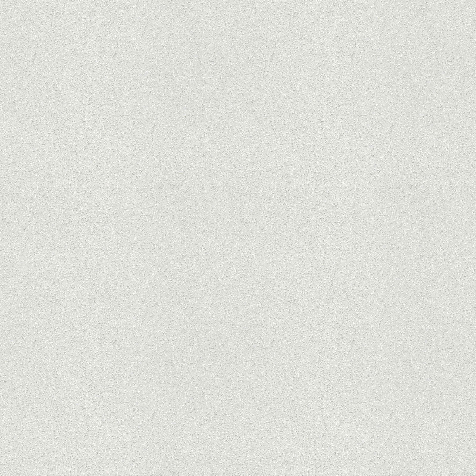 A.S. Création Tapete Meistervlies Create A.S. Création Tapete Meistervlies Create