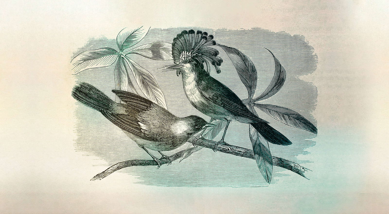 walls by patel Fotobehang Walls by Patel