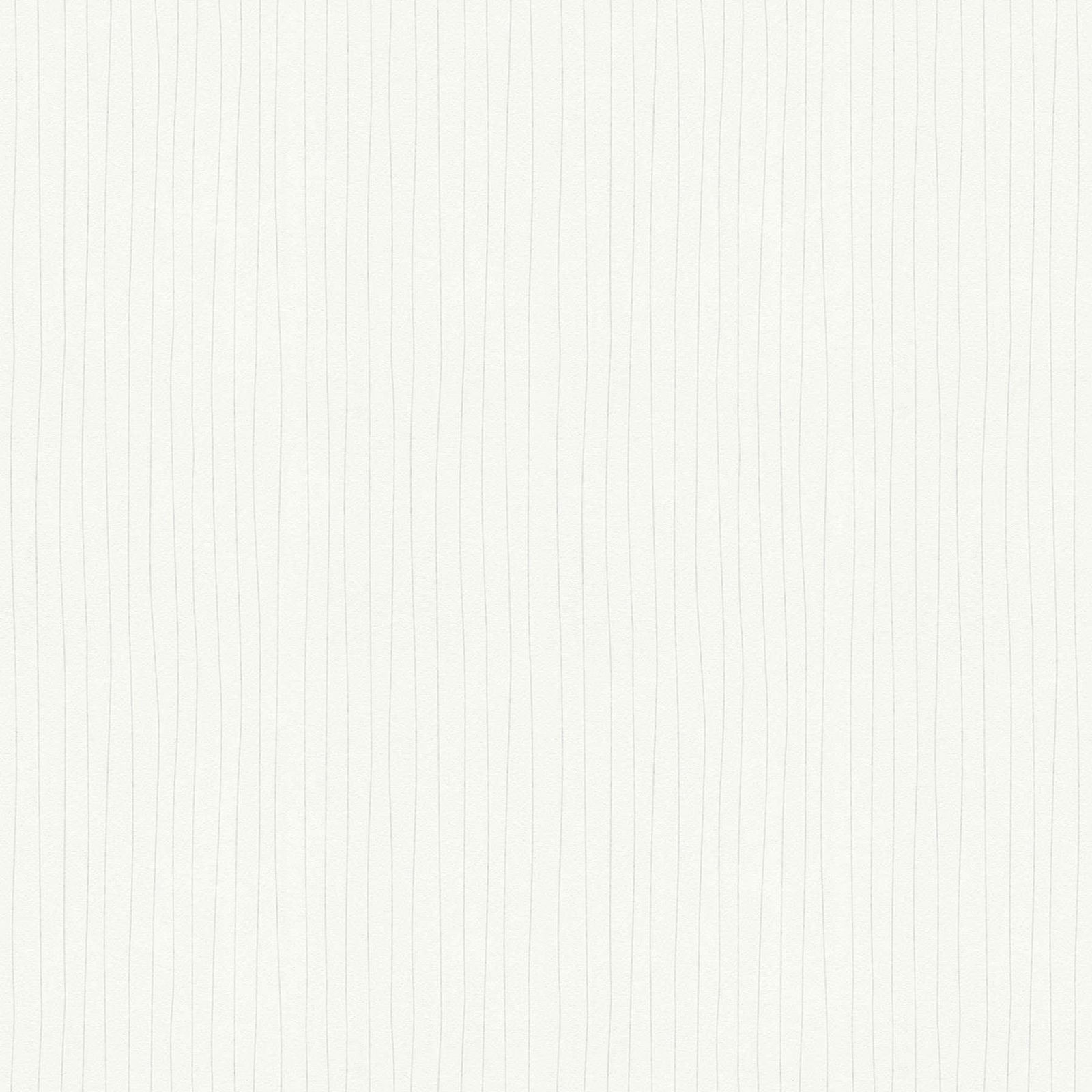 A.S. Création Tapete Meistervlies Create