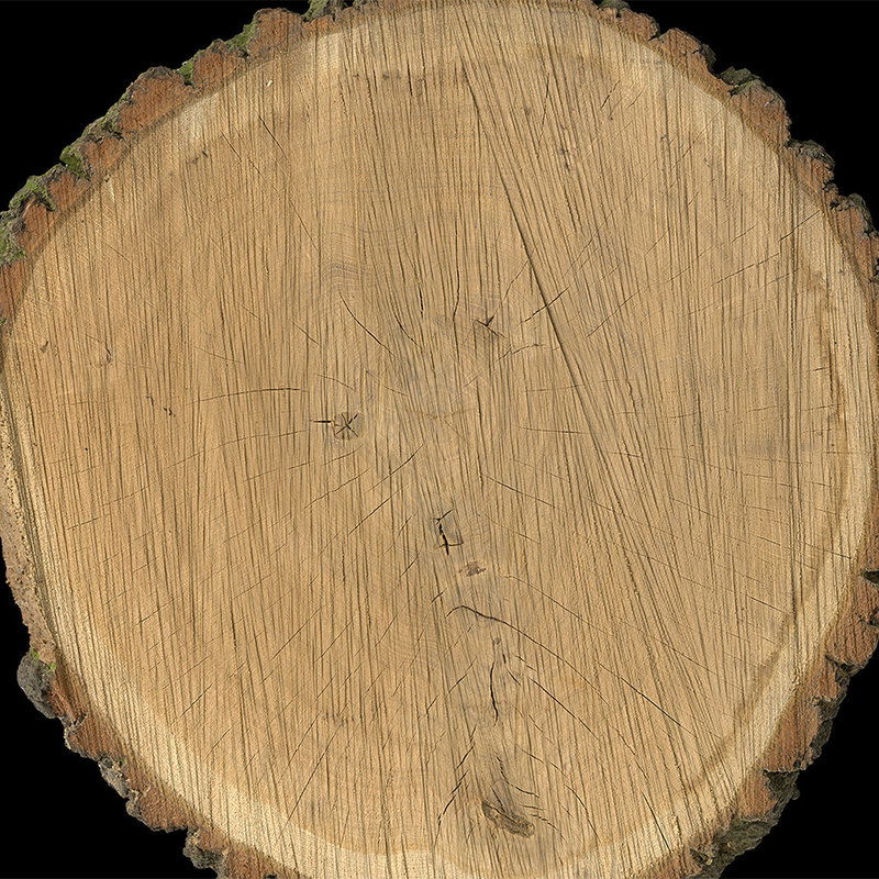 Architects Paper Photo wallpaper AP Digital 4