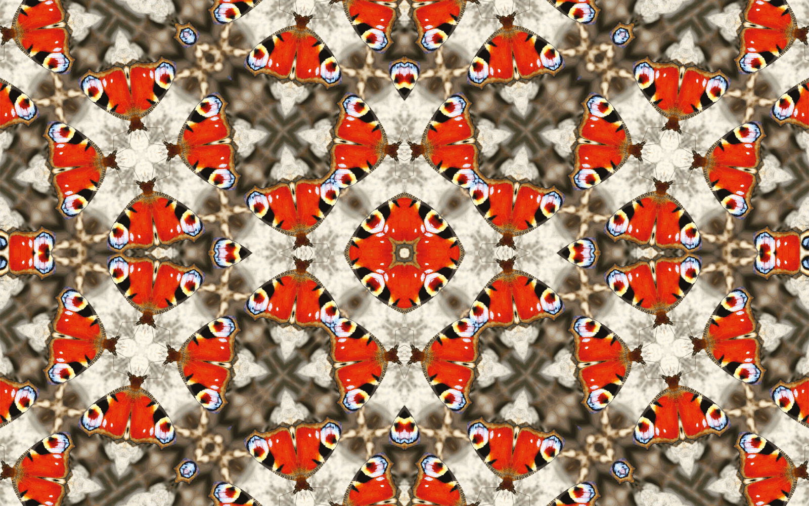 Architects Paper Fotobehang AP Digital