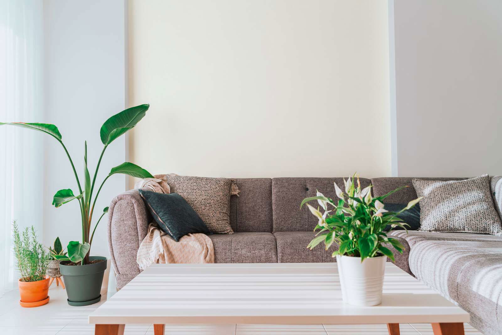 A.S. Création Обои House of Turnowsky A.S. Création Обои House of Turnowsky