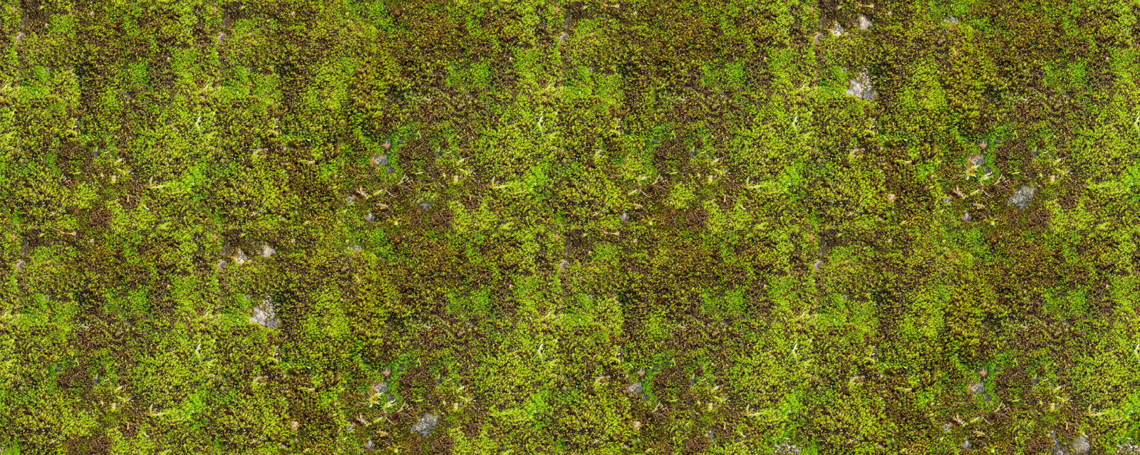 Architects Paper impression numérique AP Digital 2