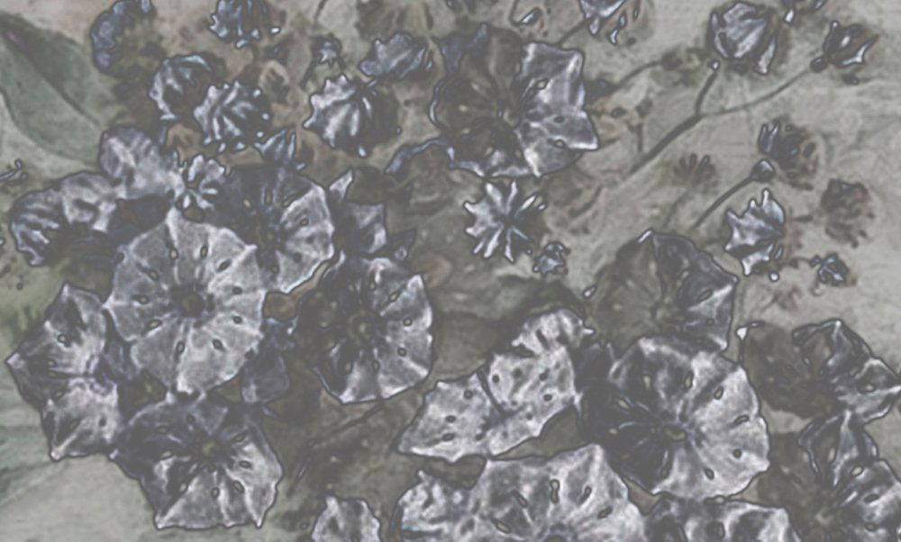 walls by patel Фотообои Walls by Patel