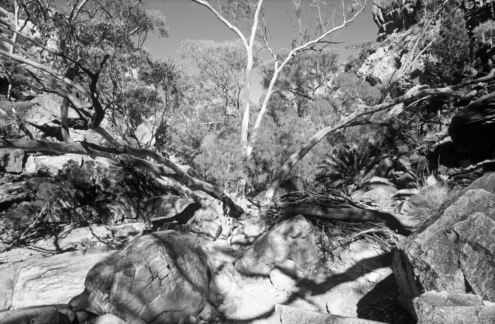 Architects Paper impression numérique AP Digital