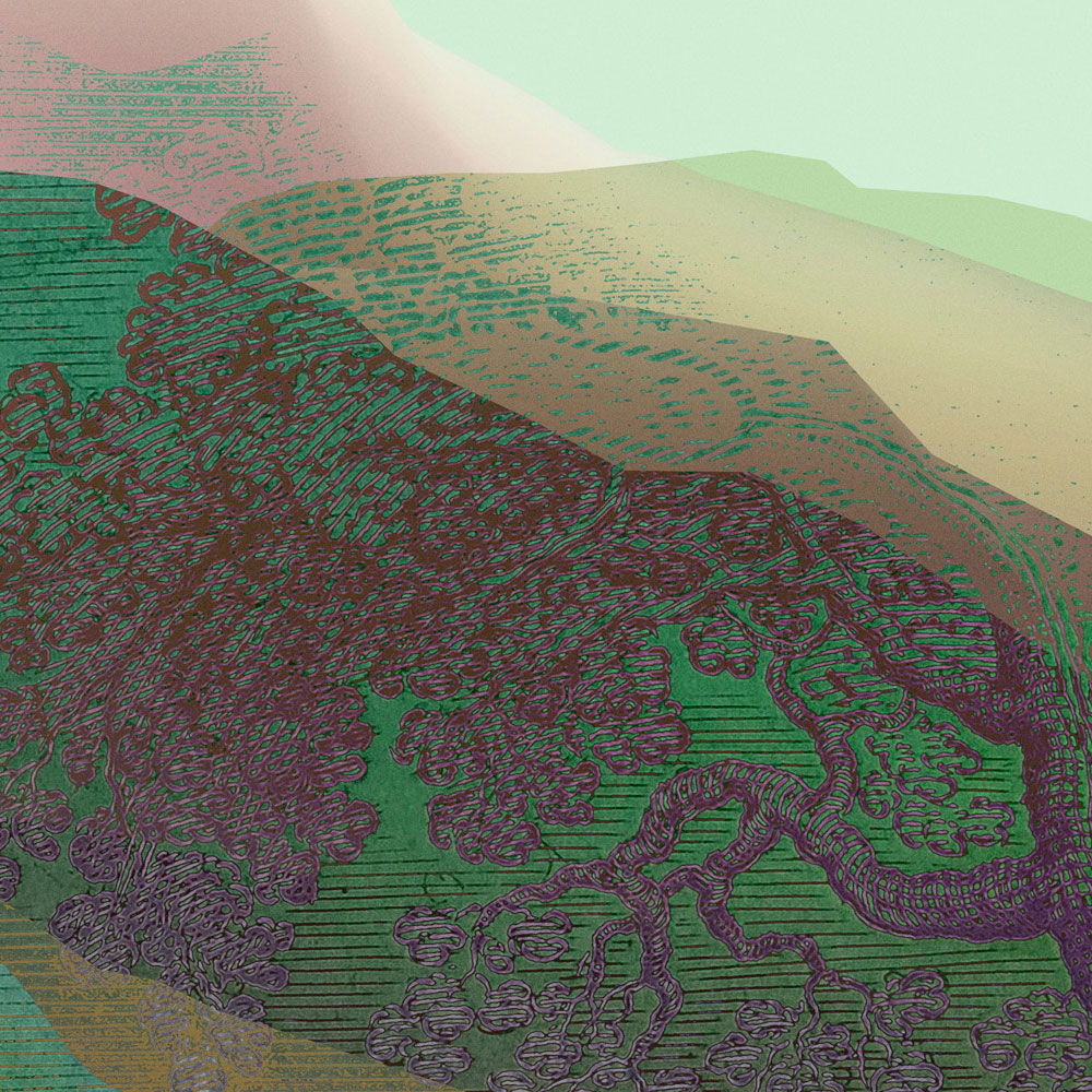 walls by patel impression numérique Walls by Patel 3