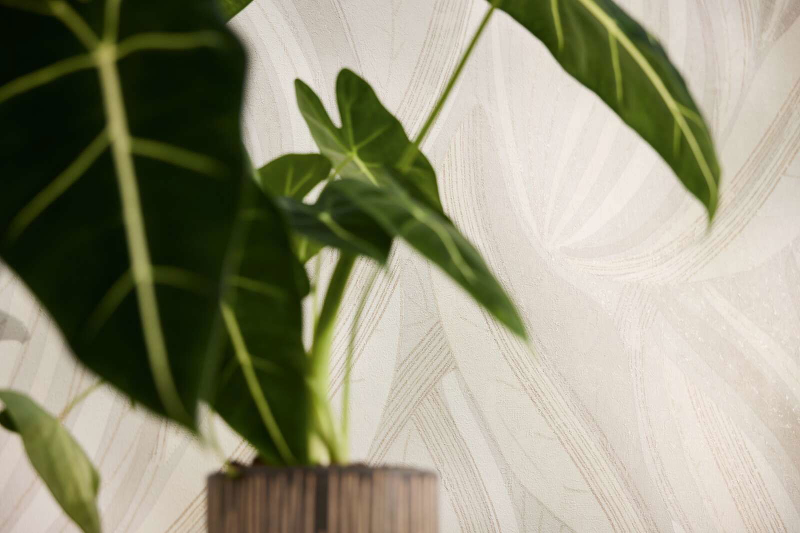 livingwalls Behang Hot Spots