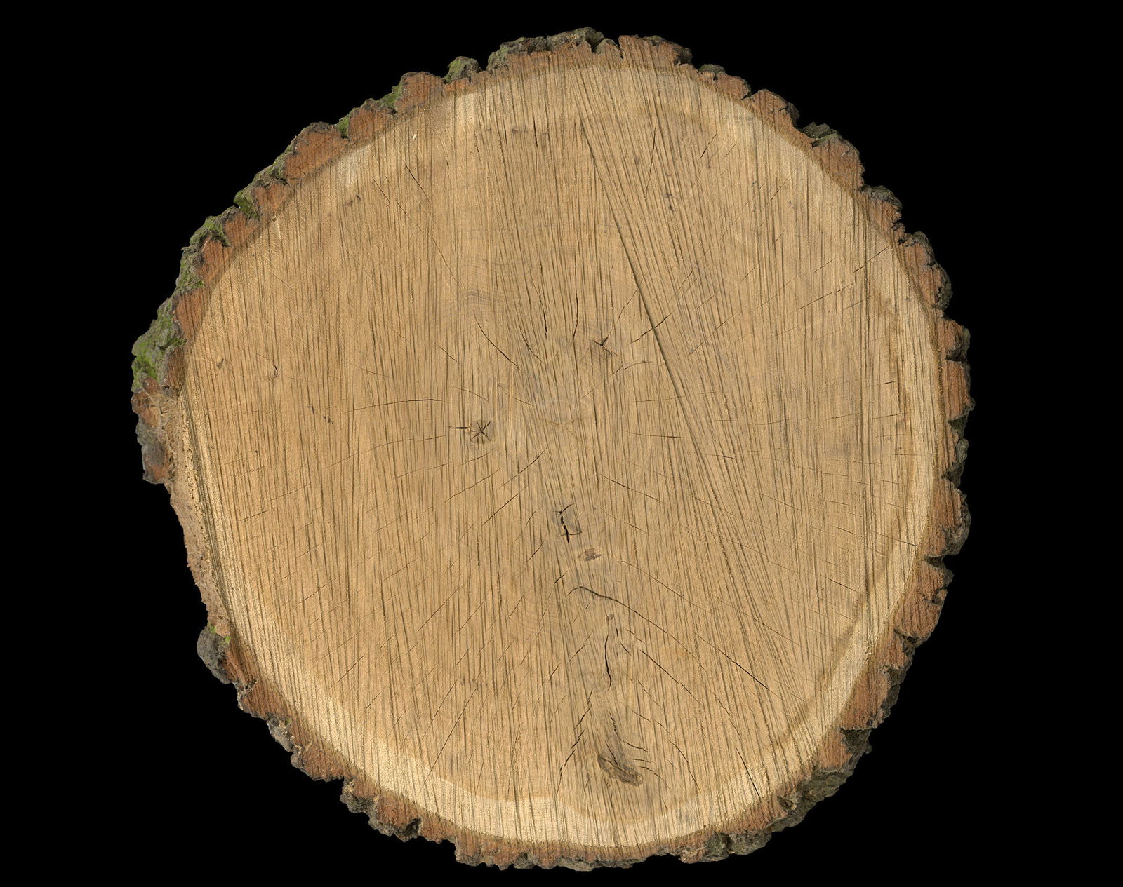 Architects Paper Photo wallpaper AP Digital 4