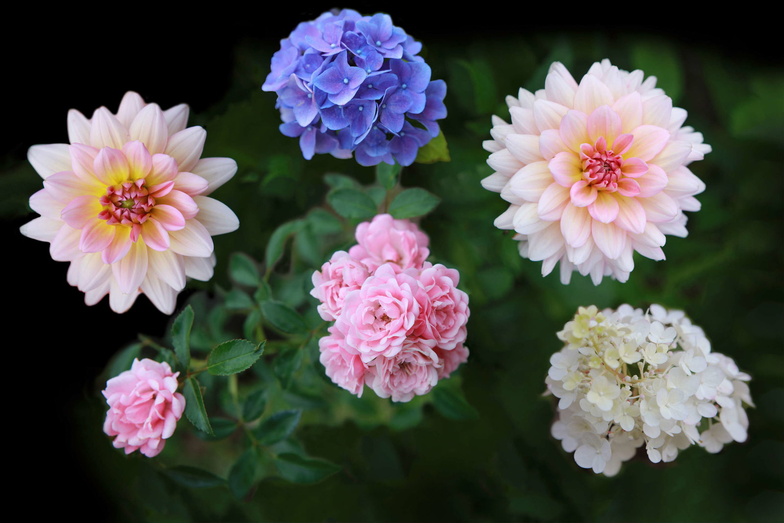 Architects Paper Photo wallpaper AP Digital 3