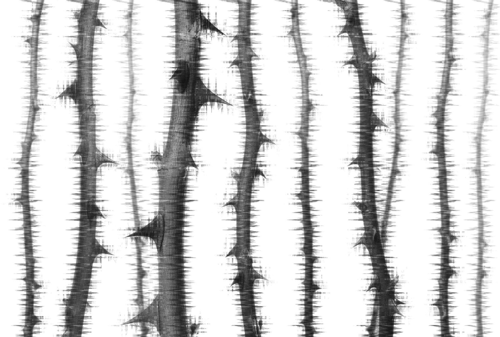 Architects Paper Фотообои Atelier 47