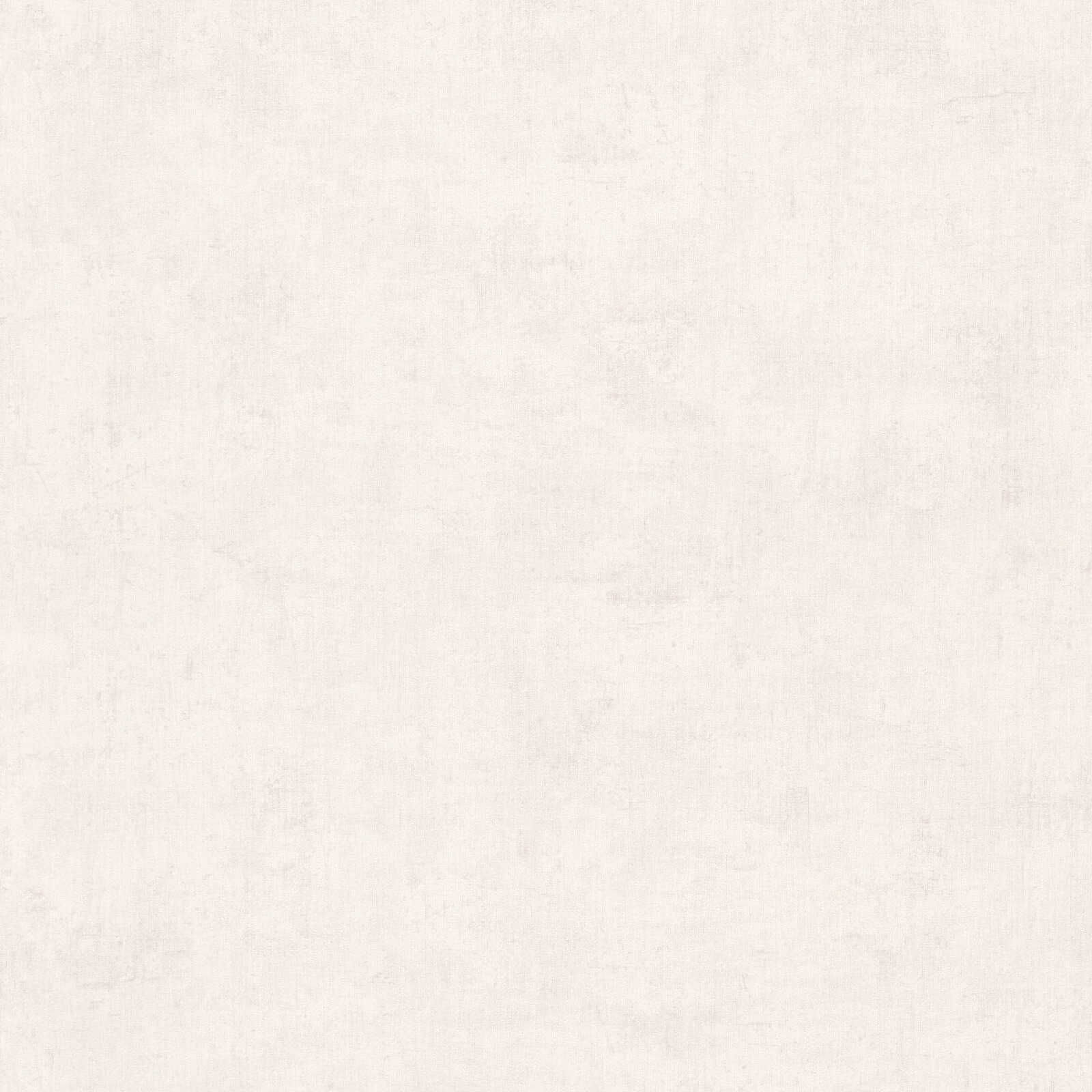 A.S. Création papier peint Nordic Feeling