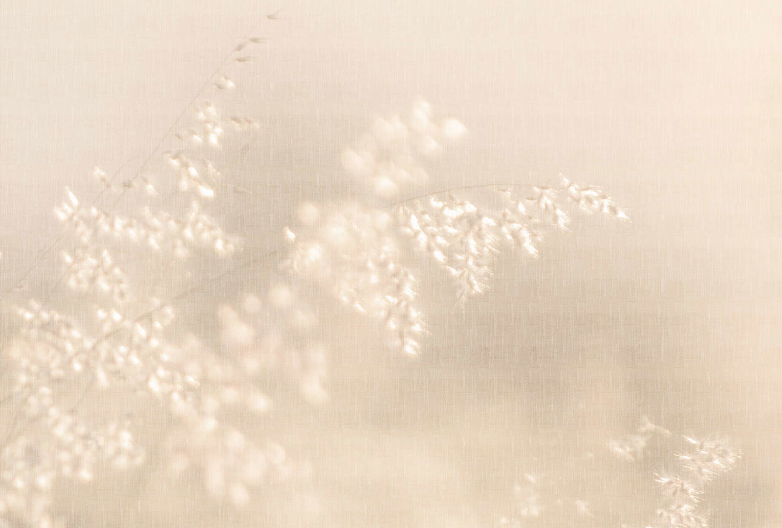 walls by patel Fotobehang Walls by Patel 5