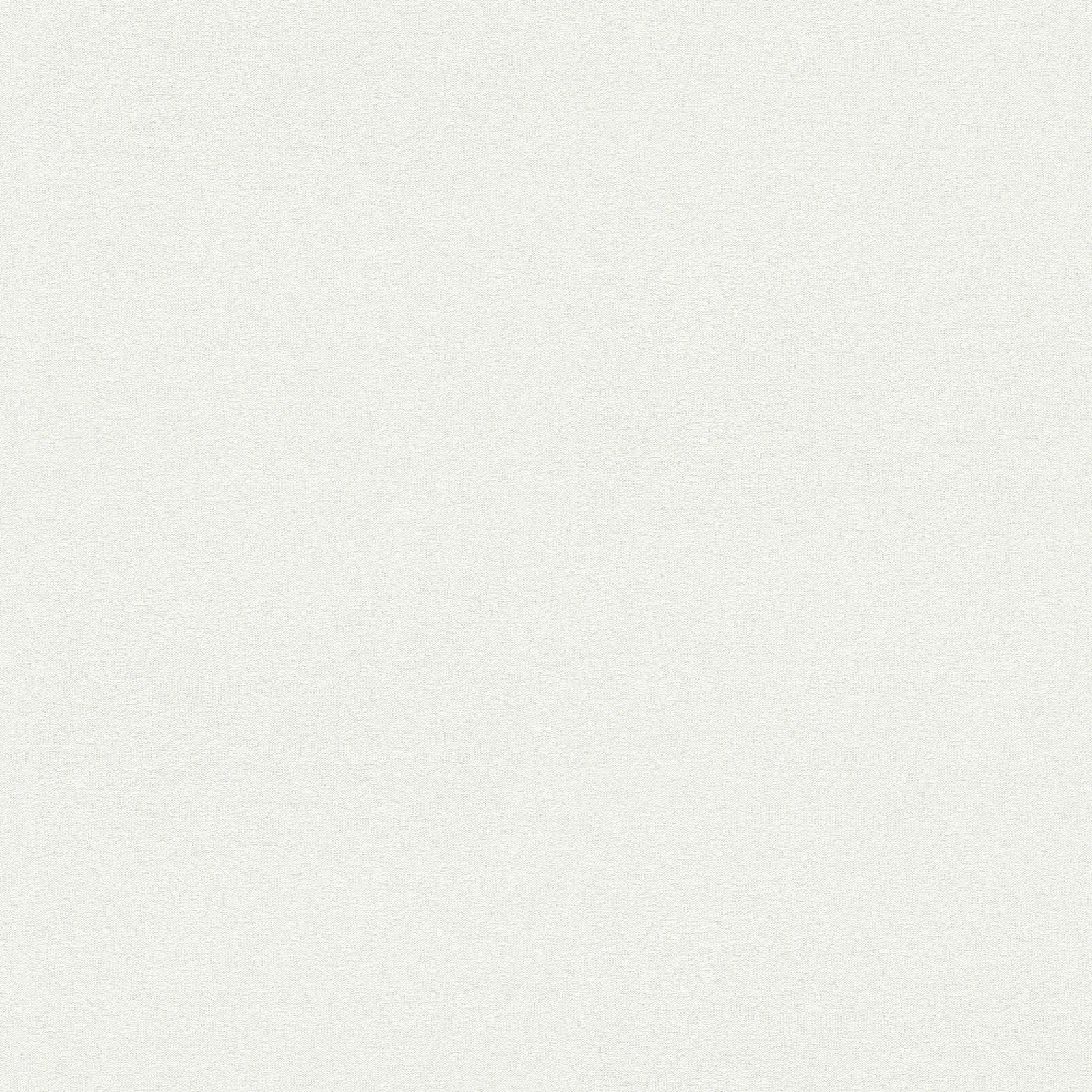 A.S. Création Обои Meistervlies Create A.S. Création Обои Meistervlies Create