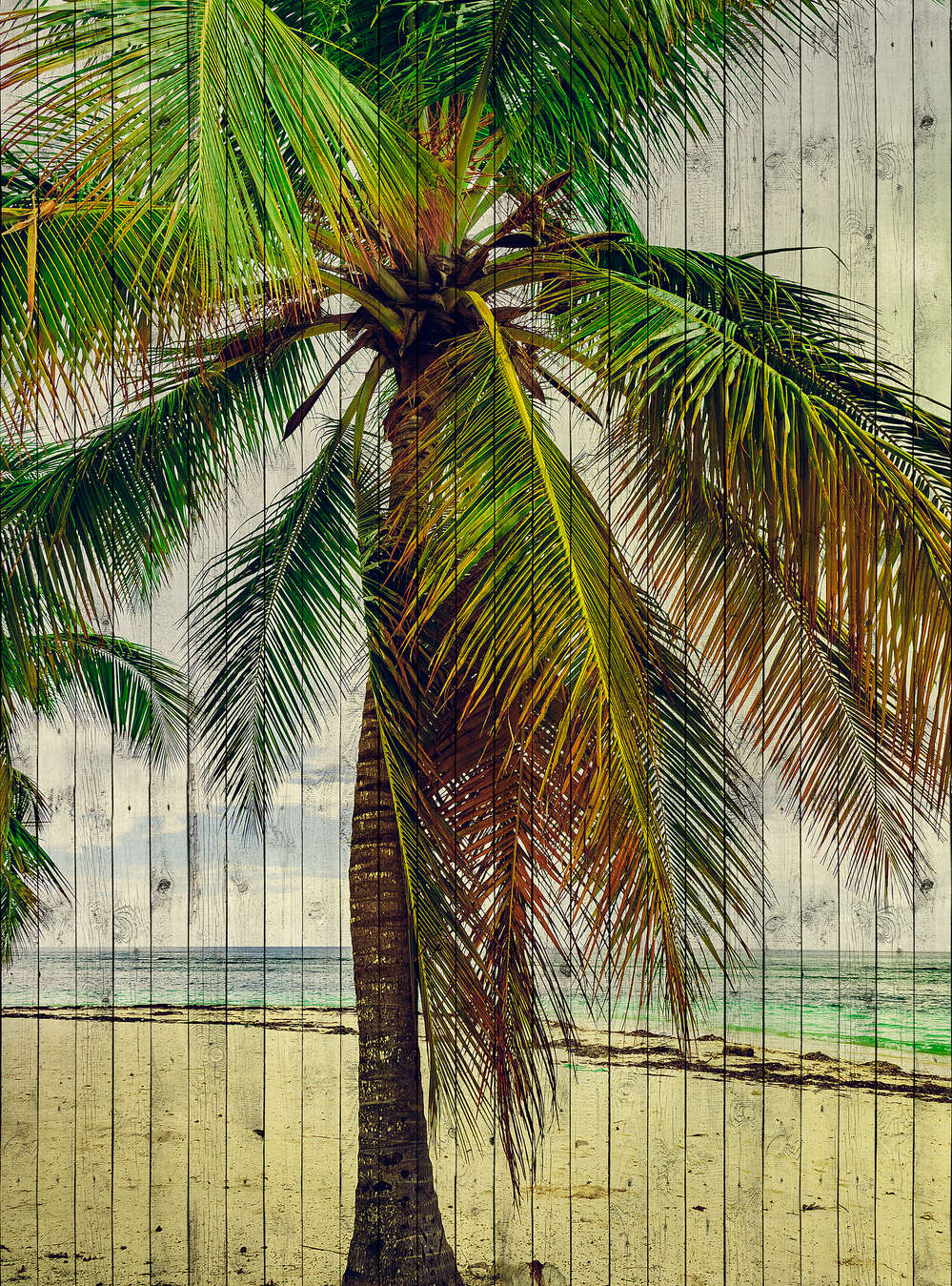 walls by patel Fotobehang Walls by Patel 2