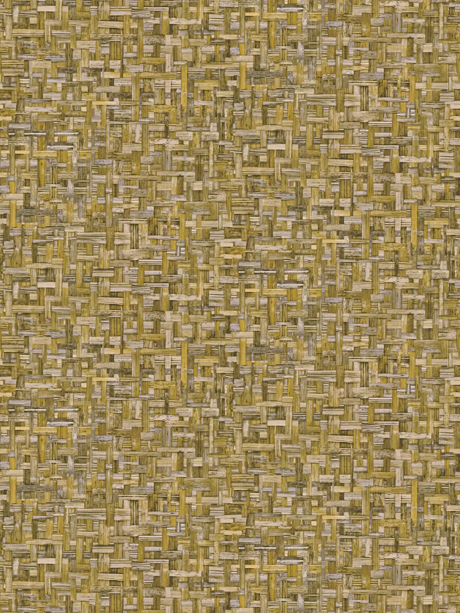 Architects Paper Tapete Jungle Chic Architects Paper Tapete Jungle Chic