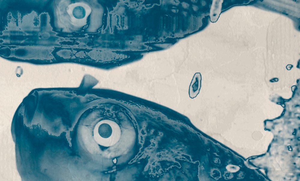 walls by patel Fotobehang Walls by Patel