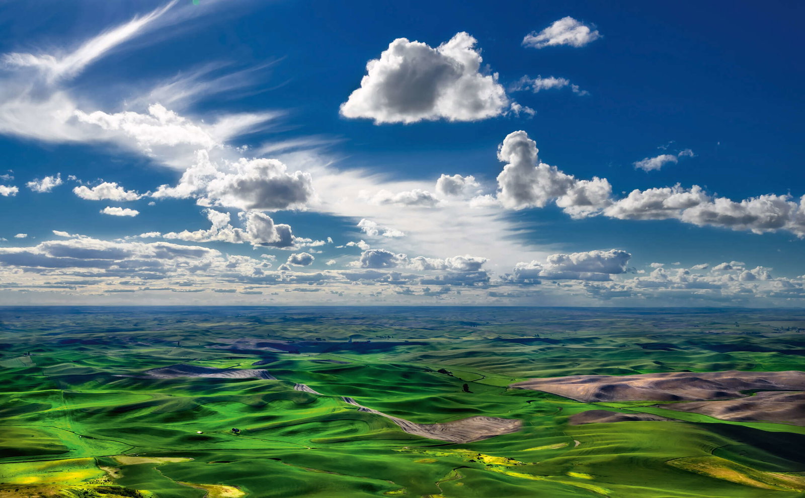 Architects Paper impression numérique AP Digital 2