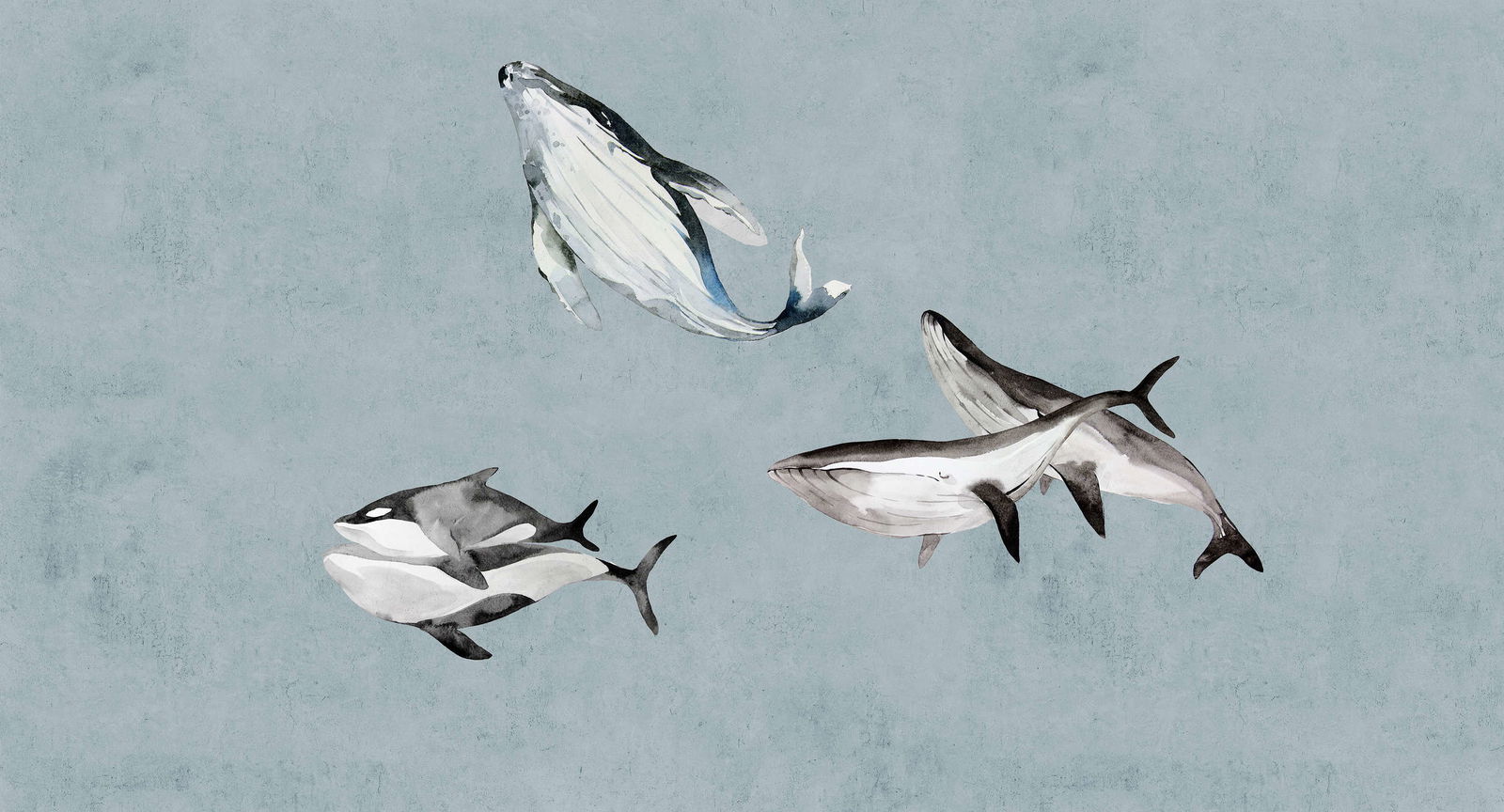 walls by patel Photo wallpaper Walls by Patel 3