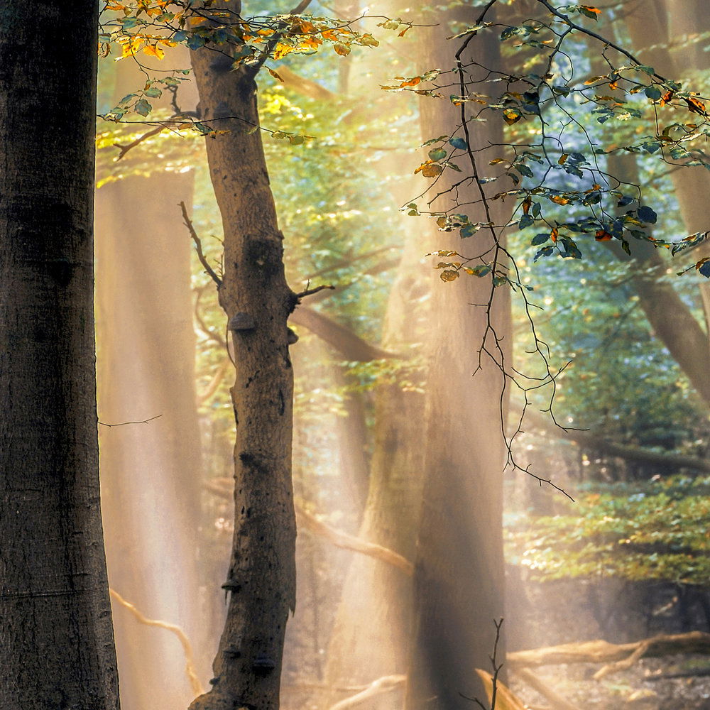 Architects Paper Фотообои AP Digital 4