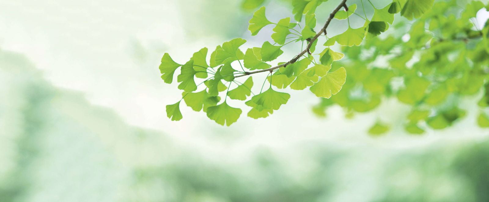 Architects Paper impression numérique AP Digital