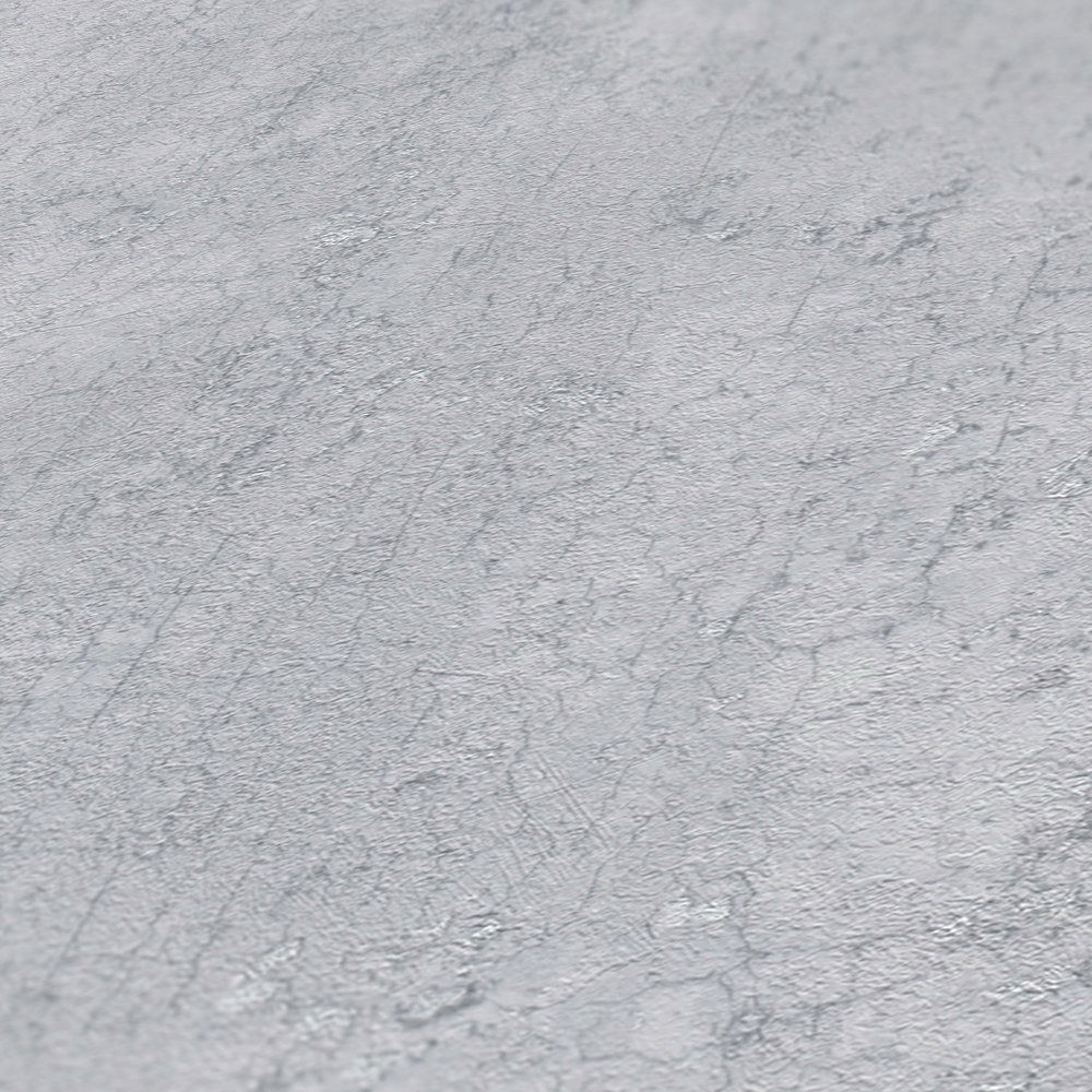 A.S. Création Обои Beton 2 A.S. Création Обои Beton 2