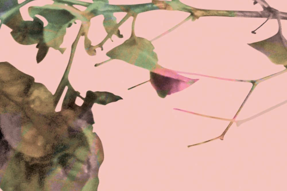 walls by patel impression numérique Walls by Patel