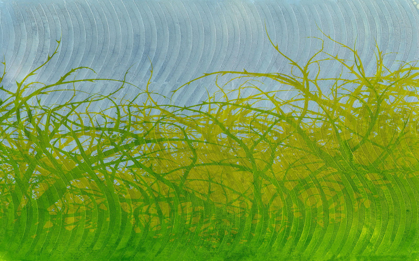 Architects Paper Fototapete Atelier 47