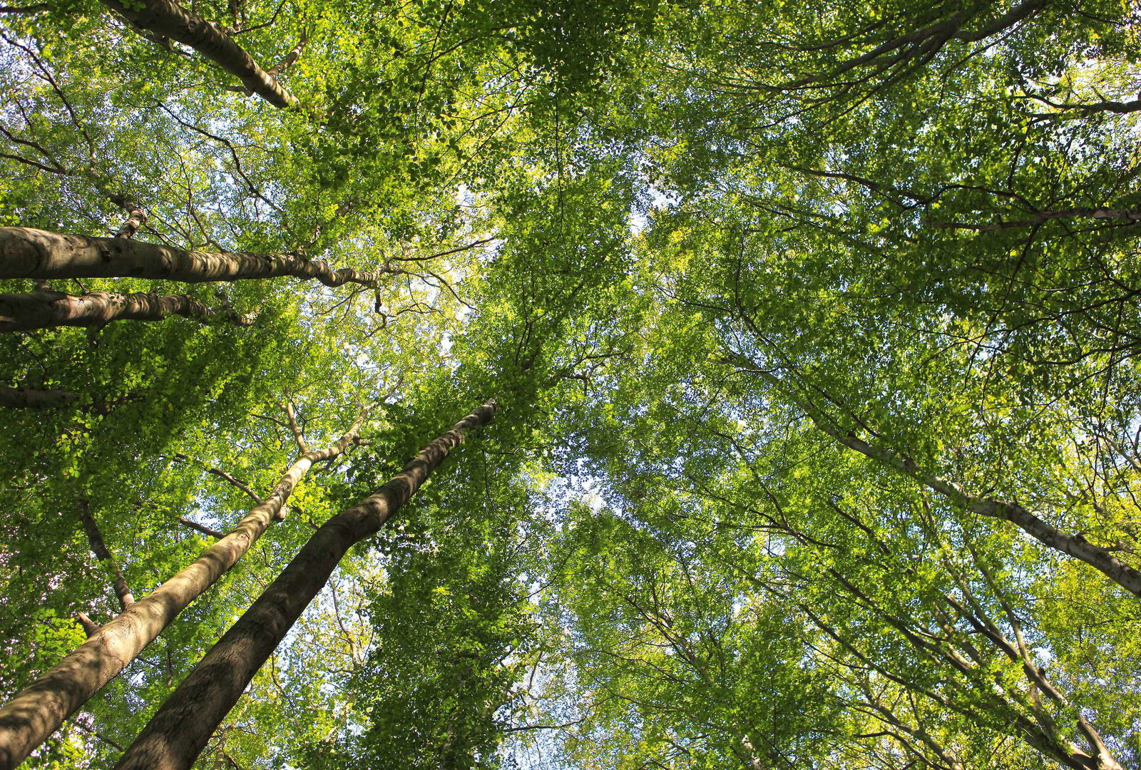 Architects Paper impression numérique AP Digital