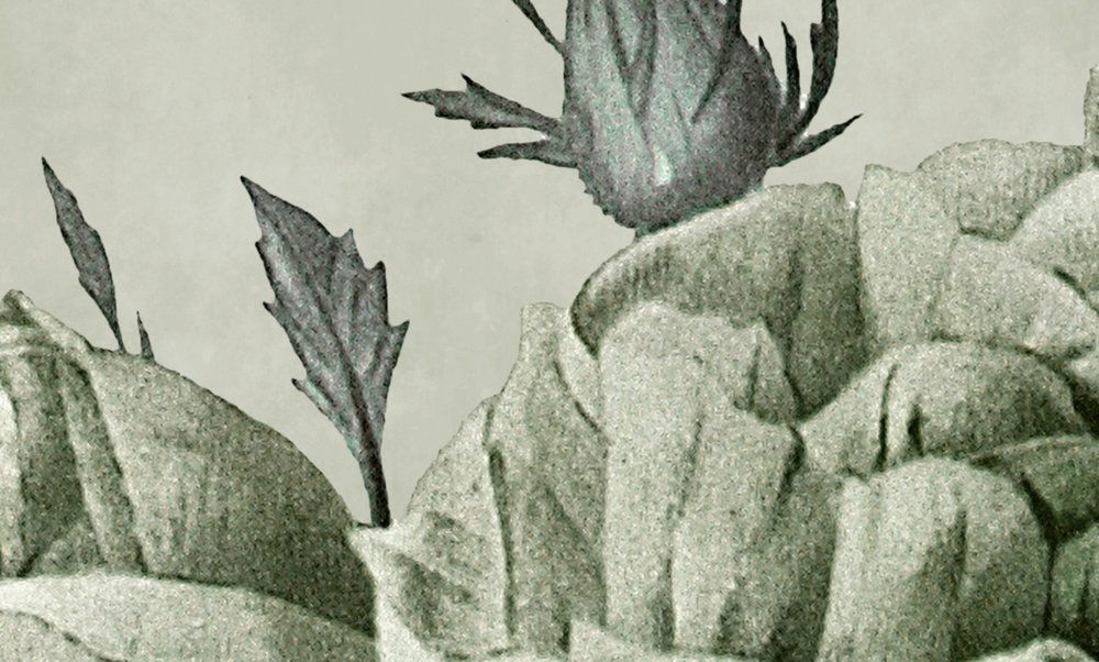 walls by patel Фотообои Walls by Patel