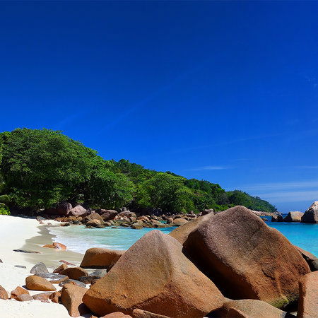 Architects Paper Photo wallpaper AP Digital 3