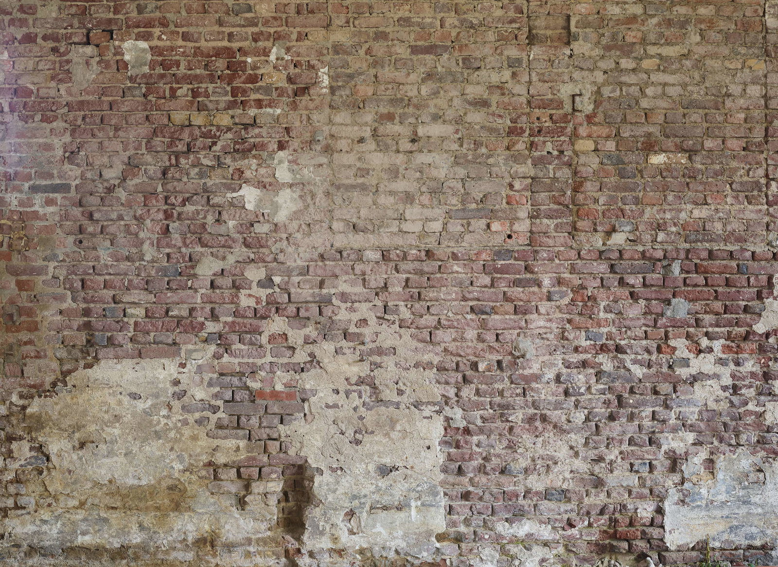 livingwalls Фотообои Designwalls 2