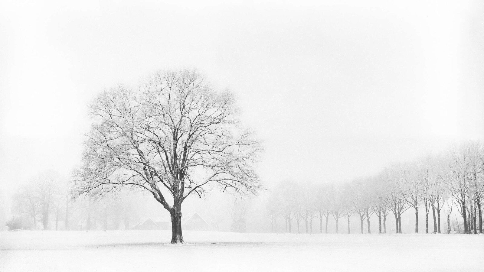 Architects Paper Fototapete AP Digital 4