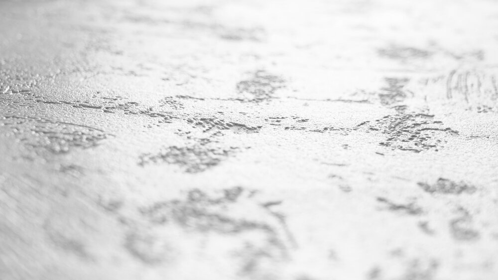 A.S. Création Tapete Meistervlies Create