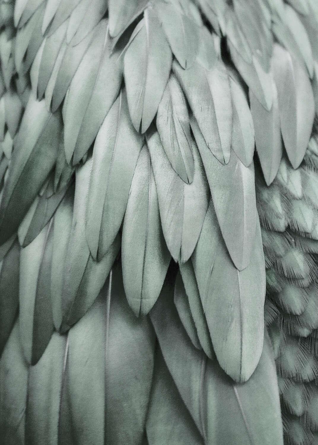 livingwalls Фотообои ARTist