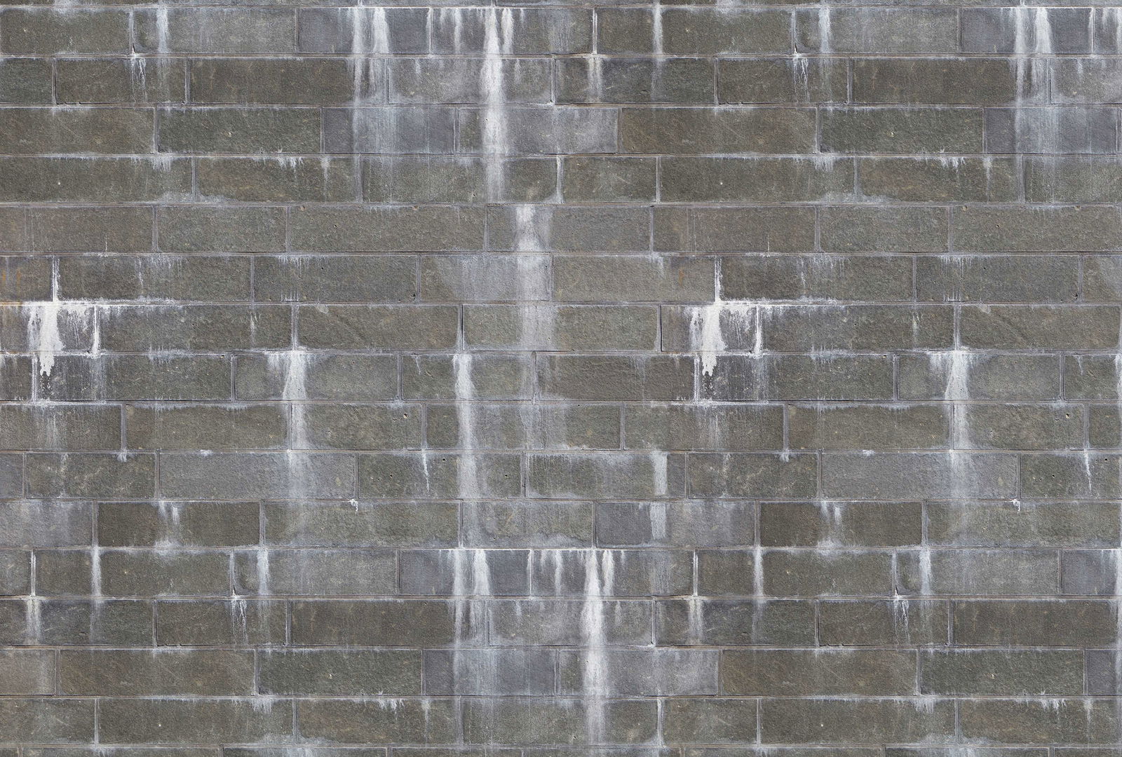 Architects Paper Photo wallpaper AP Digital 4