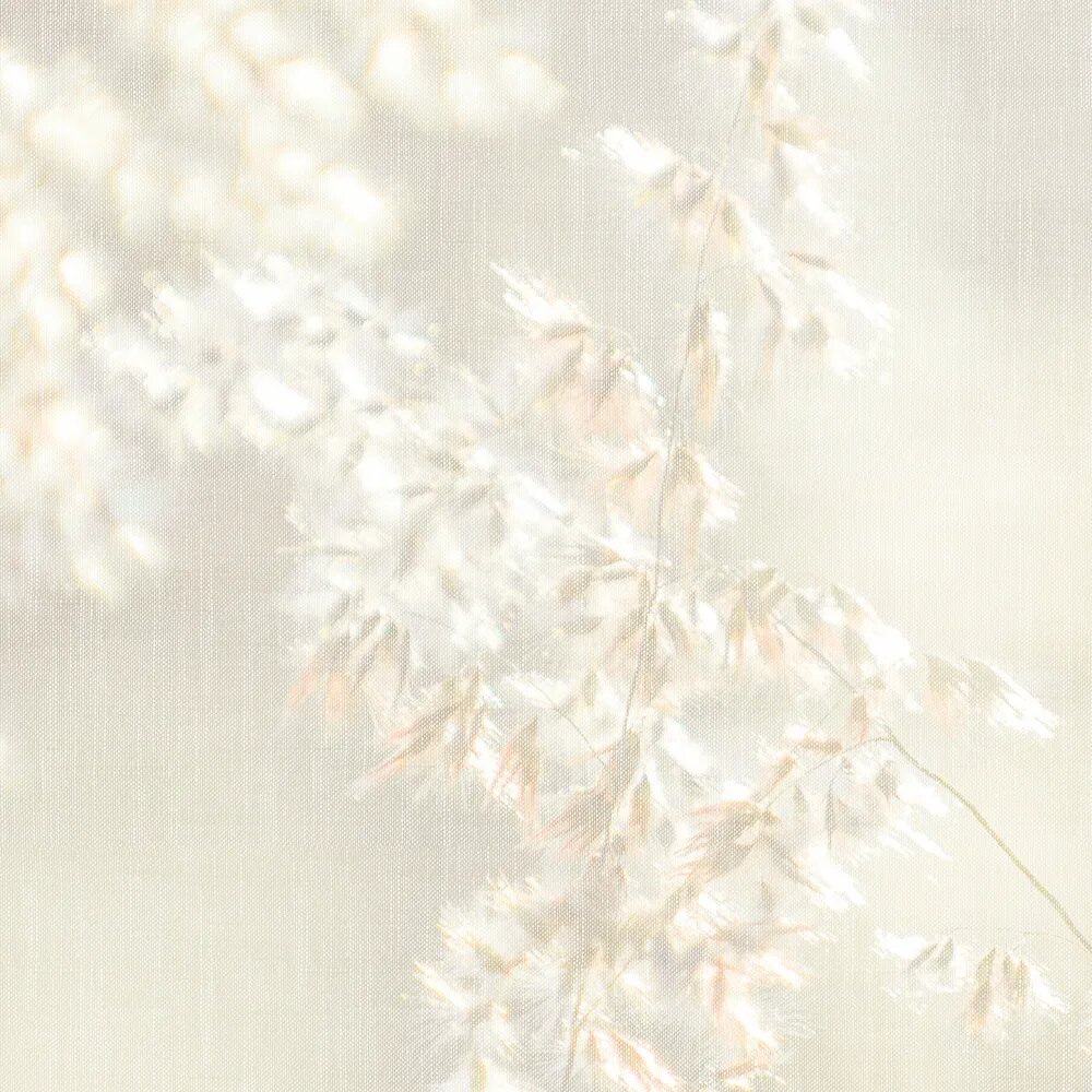 walls by patel Photo wallpaper Walls by Patel 5