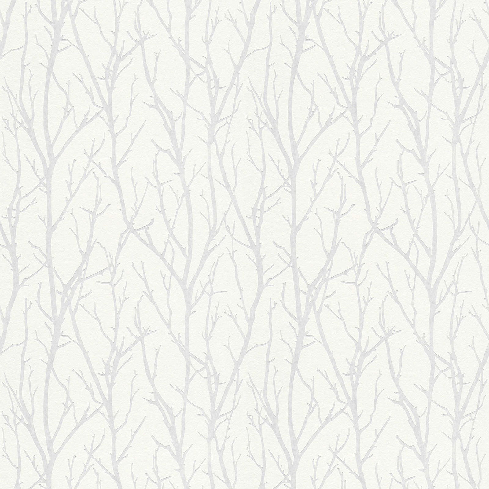 A.S. Création Tapete Meistervlies Create A.S. Création Tapete Meistervlies Create