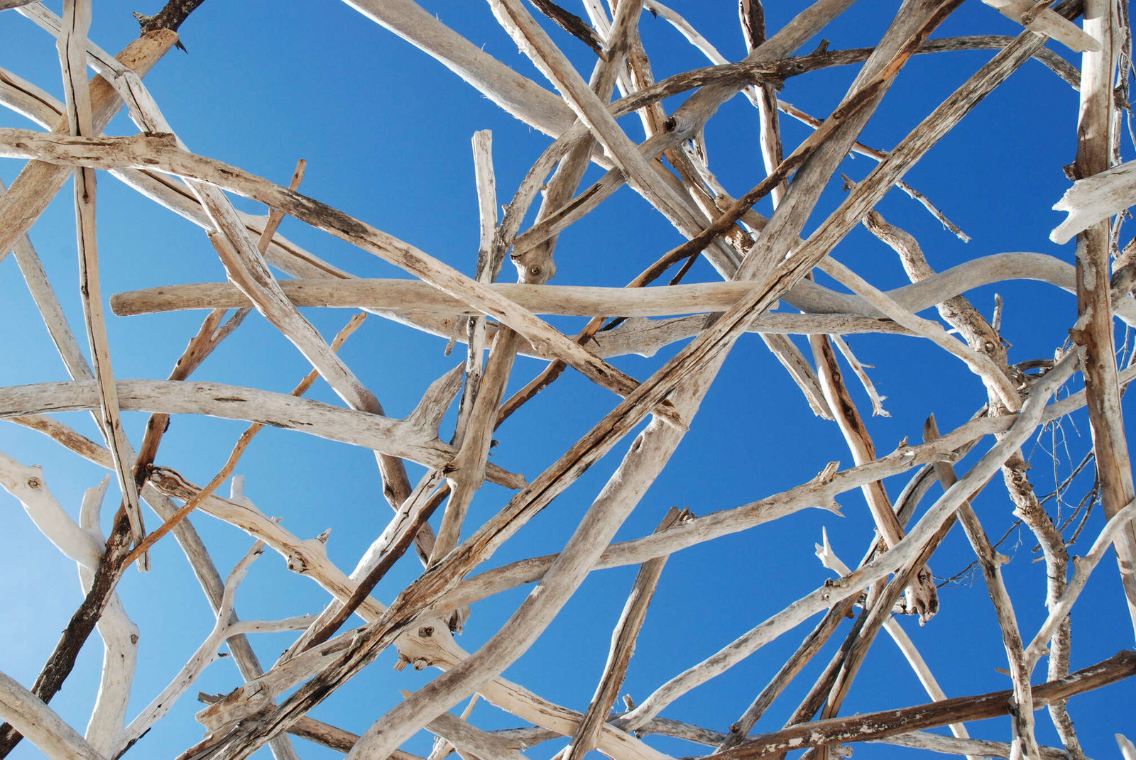 livingwalls Fotobehang Nature