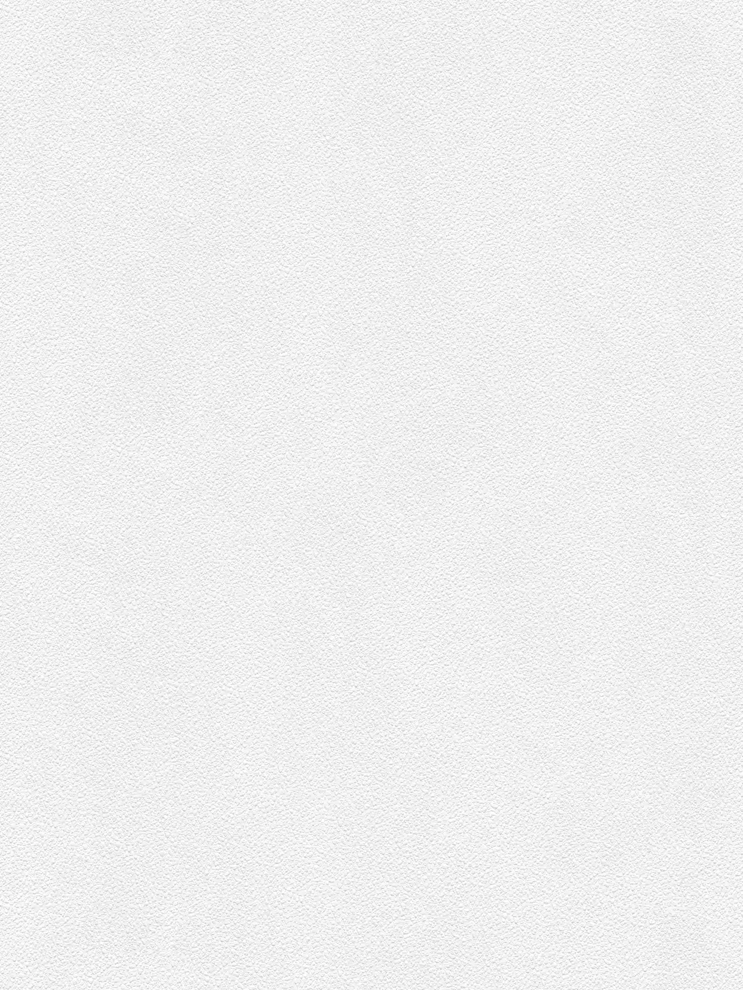 A.S. Création Обои Meistervlies Create A.S. Création Обои Meistervlies Create