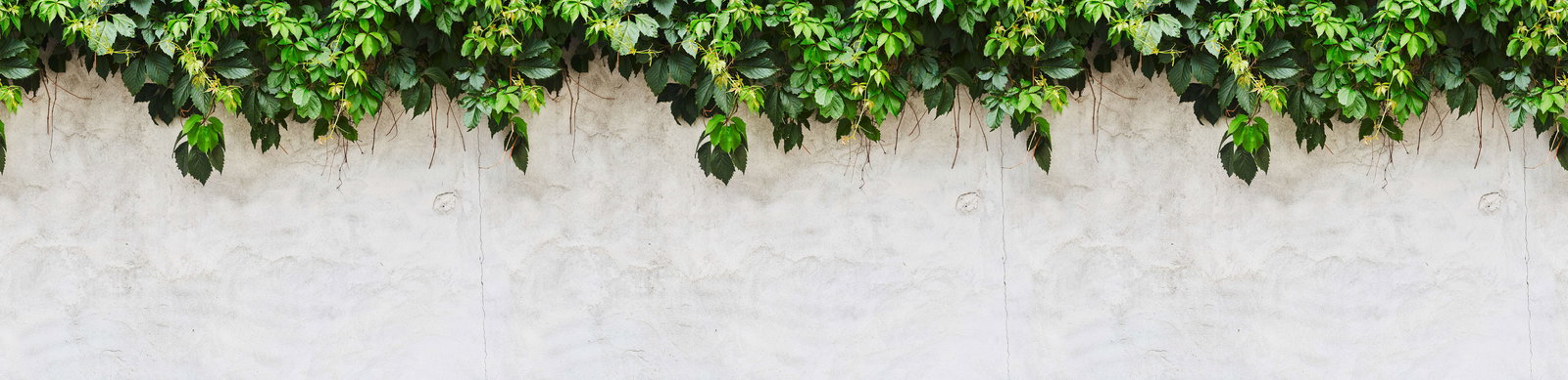 livingwalls Fototapete Designwalls 2