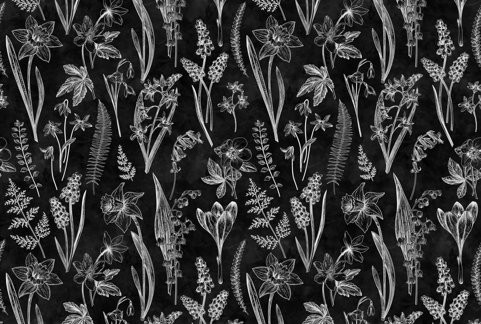 walls by patel impression numérique Walls by Patel