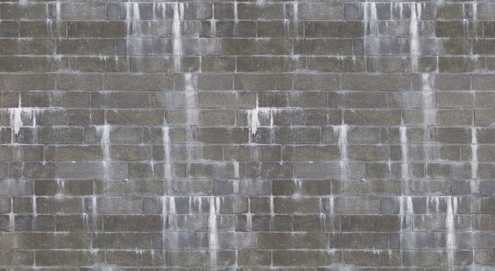 Architects Paper Fototapete AP Digital 4