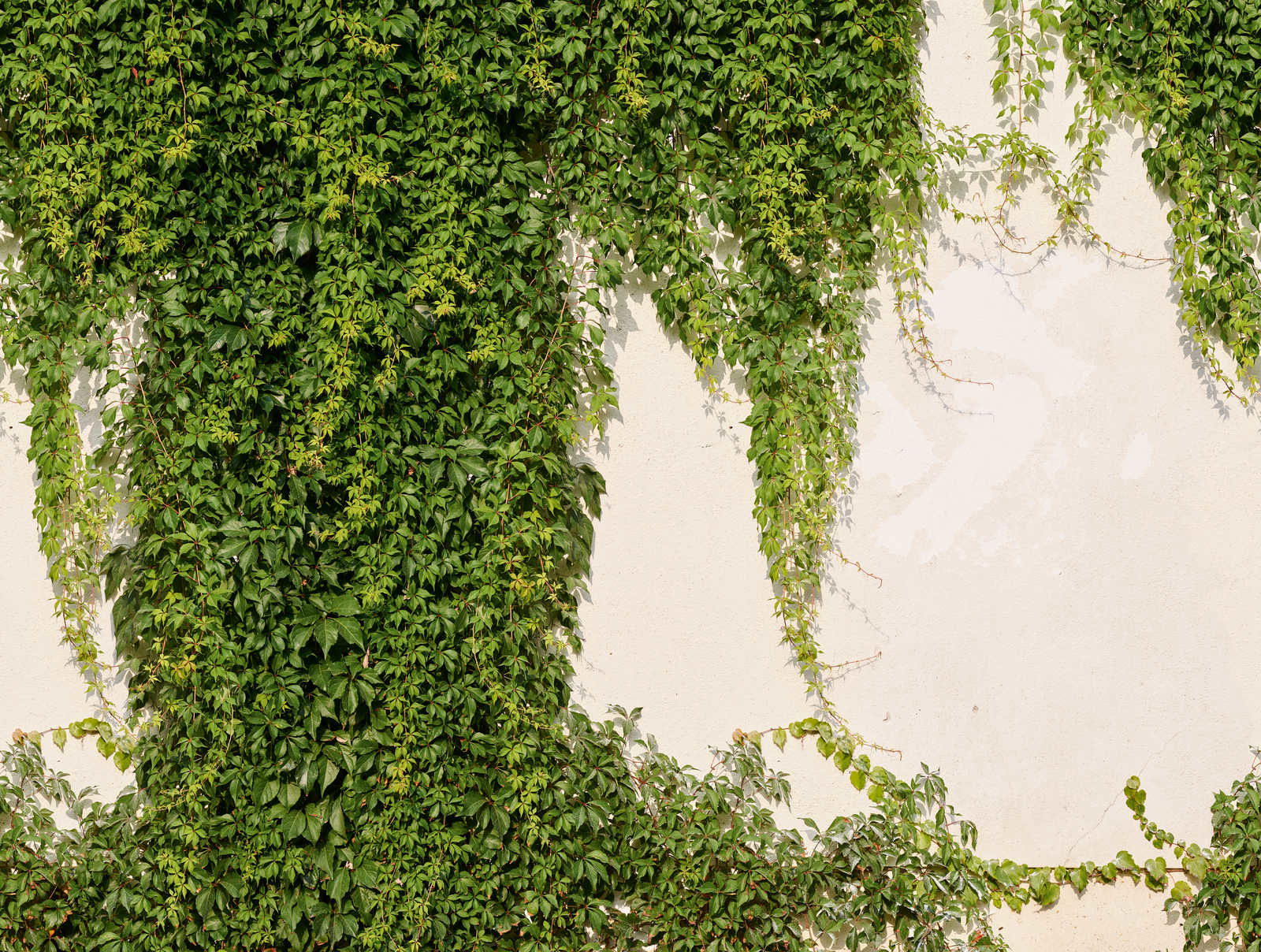 livingwalls Behang The Wall 2 livingwalls Behang The Wall 2