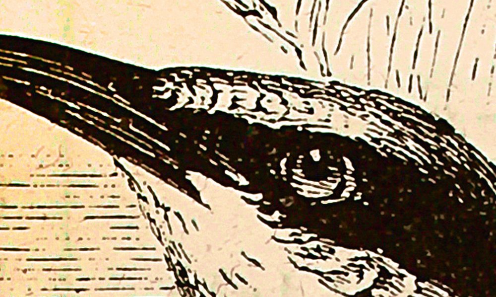 walls by patel impression numérique Walls by Patel