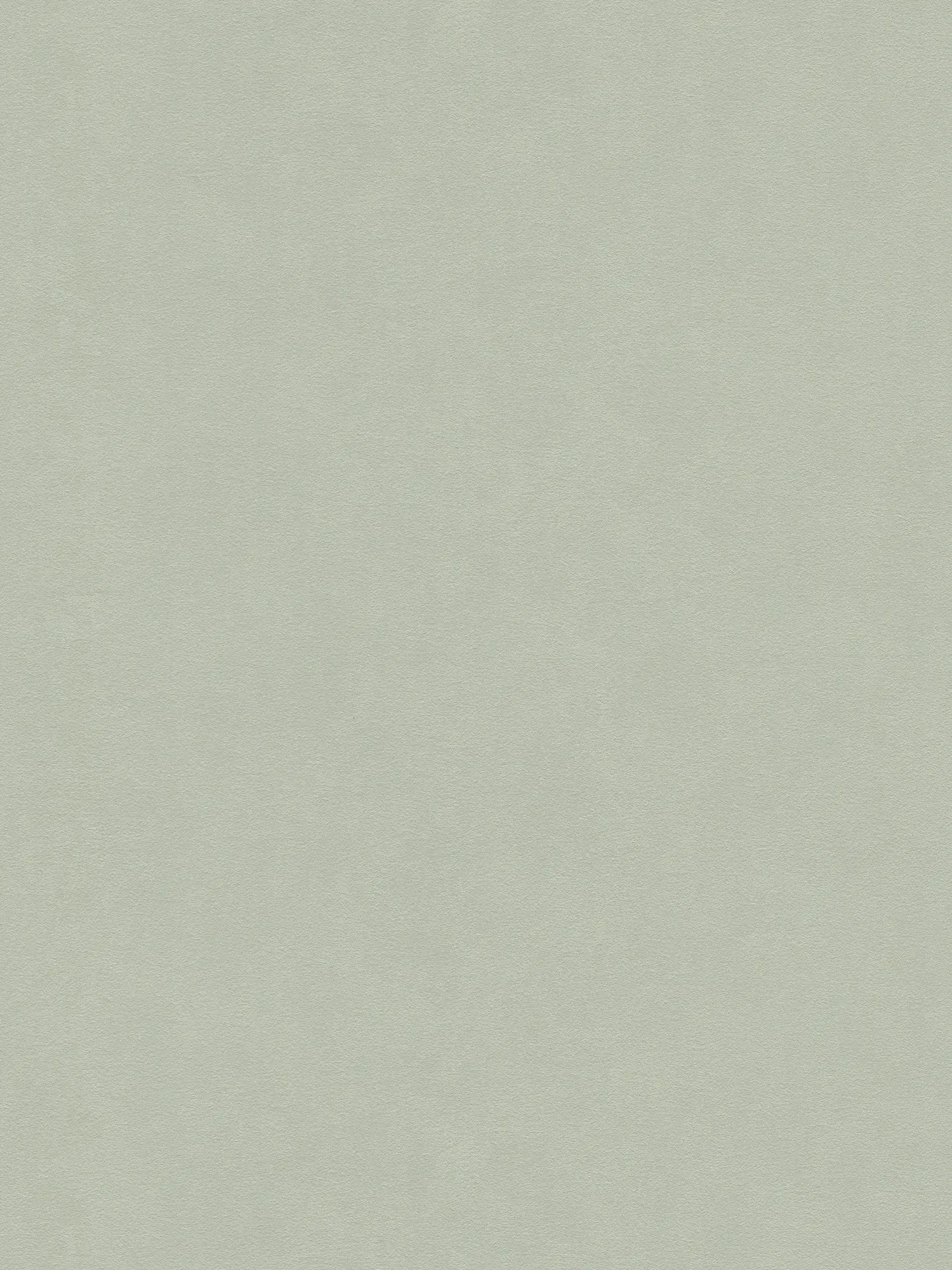 A.S. Création papier peint Attractive 3