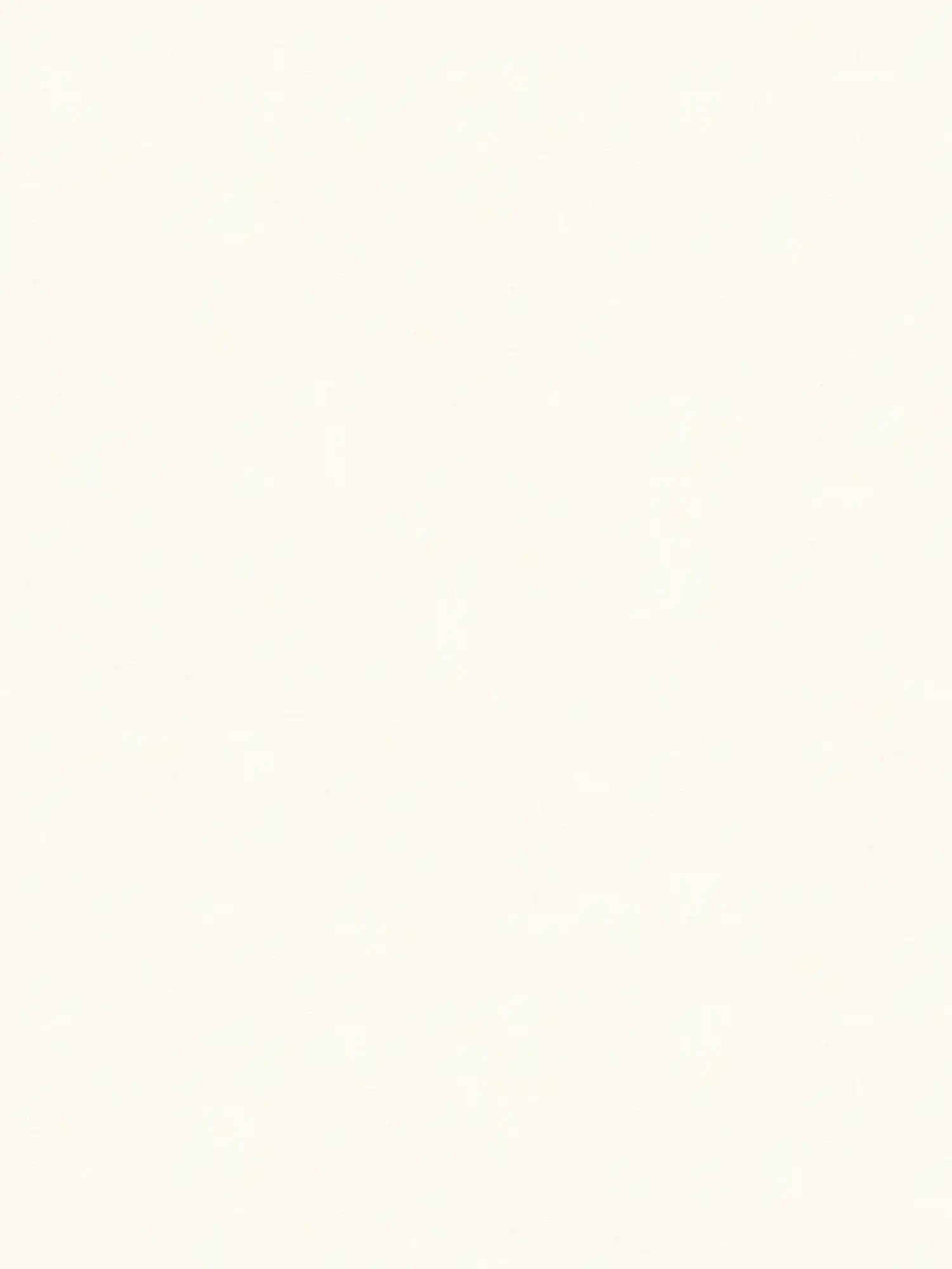 A.S. Création Tapete Shades of White