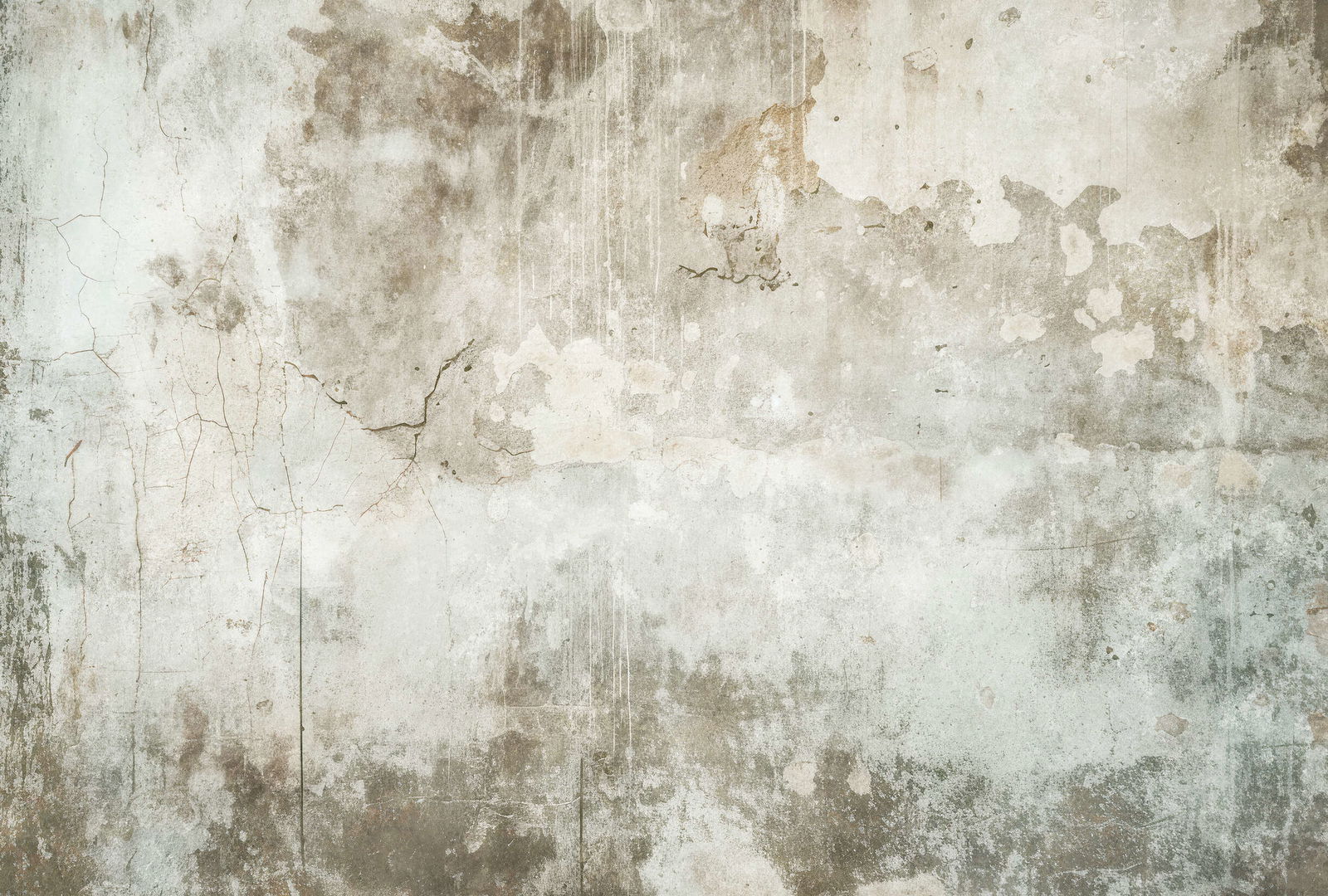 walls by patel Photo wallpaper Walls by Patel 5